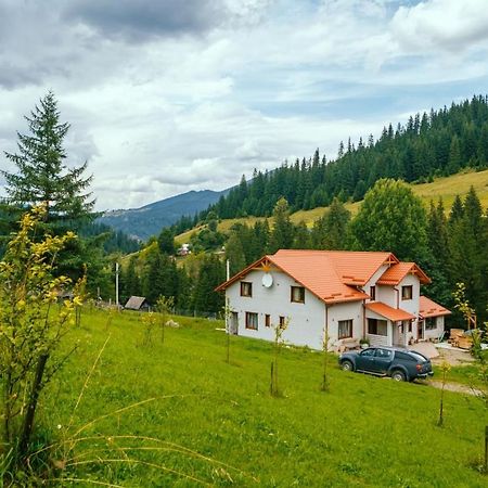 Khata Lisnyka Verkhovyna Buitenkant foto