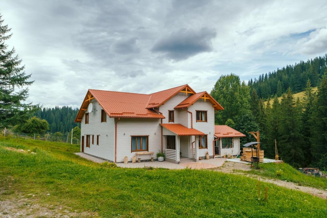Khata Lisnyka Verkhovyna Kamer foto